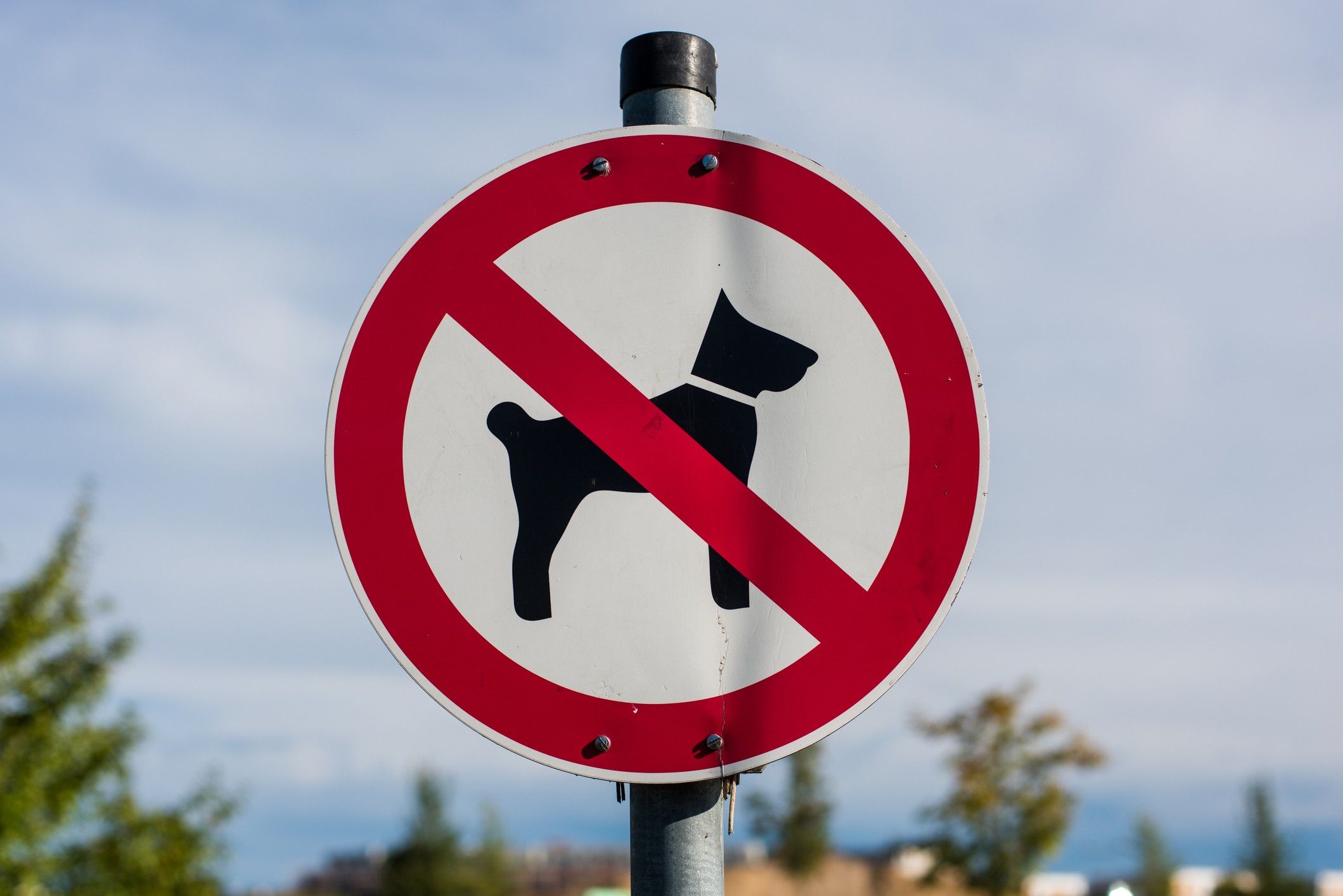 No Dog Sign on Topsail Island
